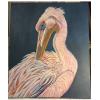 "Pink Pelican"