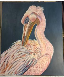 "Pink Pelican"