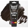 Фарба художня Acryl PRO ART Kompozit 0,075 л ТУБА (476 марс коричневий )